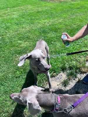 View Gallery Image #1