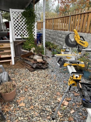 Murdoch s DEWALT 12