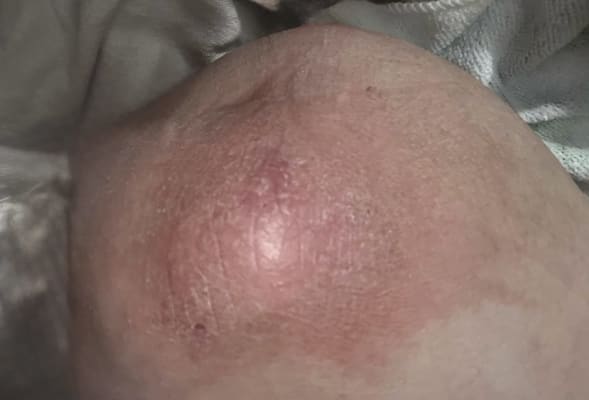 View Gallery Image #4