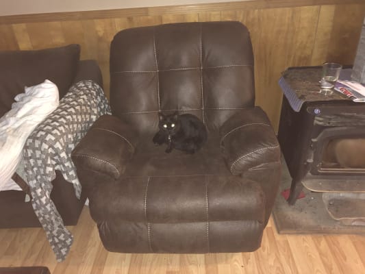 Lane home solutions excursion rocker recliner clearance