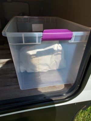 Sterilite 66 Quart Holiday Latching Storage Box – Lime Tint