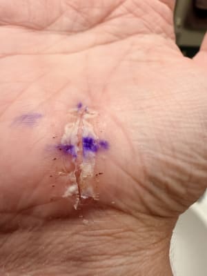 View Gallery Image #9