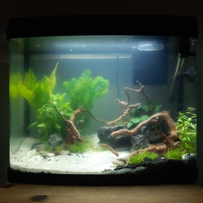 40 litre fish tank clearance