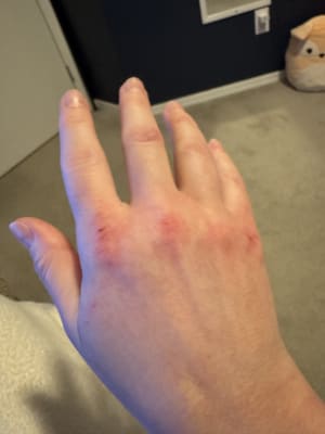 View Gallery Image #2