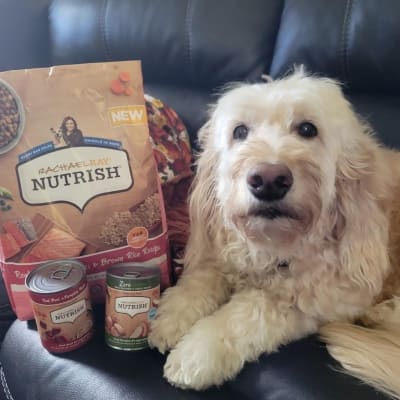 Best wet dog food for goldendoodles cheap