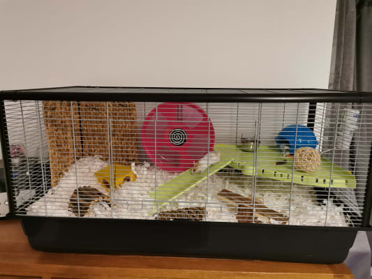 Hamster Pen Pets At Home 2024 www.alhudapk