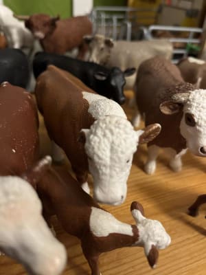Murdoch s Schleich Hereford Cow