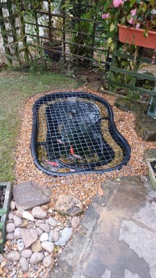 Wickes pea shingle 10mm discount