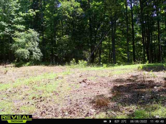 Whitetail Institute Imperial Secret Spot Food Plot Deer Seeds Whitetail Institute Imperial Secret Spot Food Plot Deer Seeds