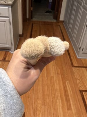 View Gallery Image #13