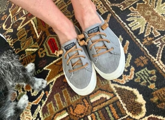 Sperry kids crest zone deals
