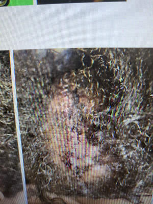 View Gallery Image #9