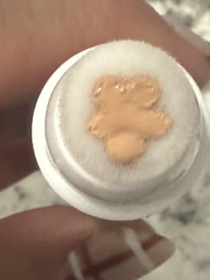 View Gallery Image #10