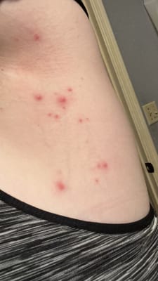 View Gallery Image #1