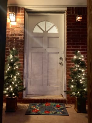 4.5' Hardneedle Pre-Lit Christmas Urn Trees, 2-Pack | Big Lots
