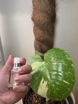 View Gallery Image #6