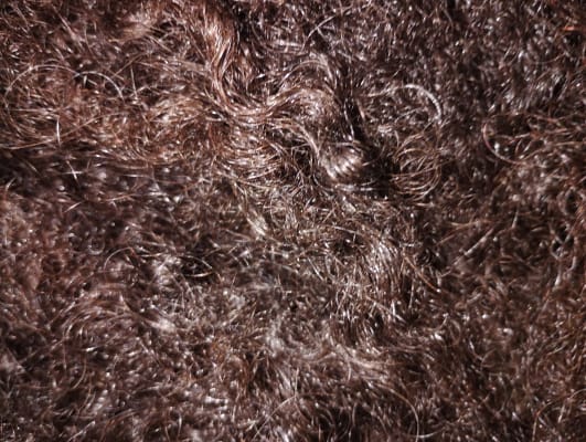 View Gallery Image #9