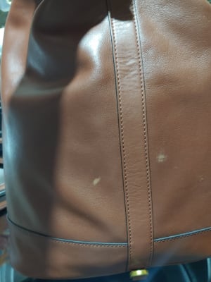 nola backpack fossil