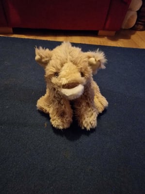 Kong Comfort Kiddos Lion Dog Toy Large Pets At Home