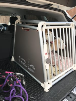 4pets dog crate
