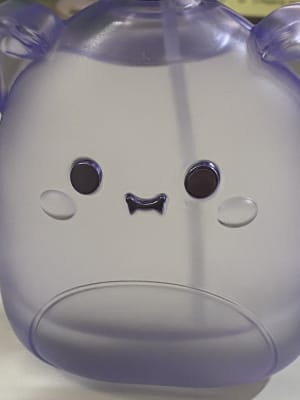 View Gallery Image #11