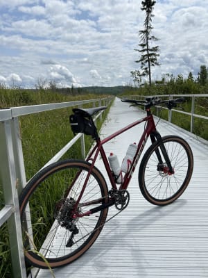 Trek Dual Sport 3 Click here for sale price