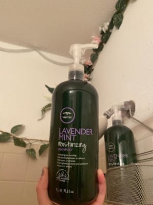 View Gallery Image #9