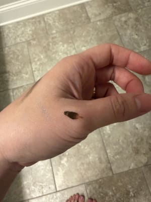 View Gallery Image #1