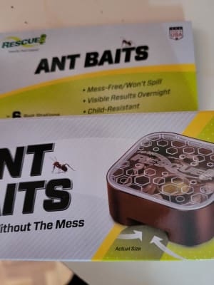 Ant Bait Stations, 6-Ct - Traps & Pest Control, RESCUE!