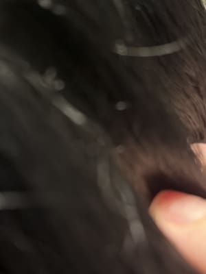 View Gallery Image #14