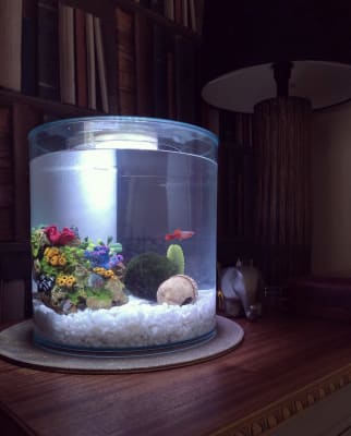 Aquarium Équipé 360, 10L (2,65 gal US) - Marina