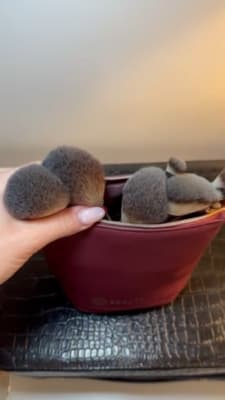 View Gallery Image #3