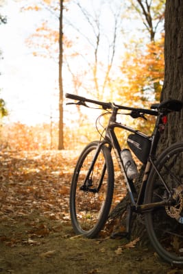 FastRoad AR 2 (2024) | Fitness bike | Giant Bicycles US FastRoad AR 2 (2024) | Fitness bike | Giant Bicycles US
