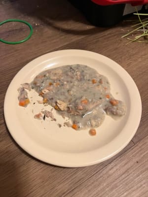 Nutrish™ Purrfect Entrees Grain Free Sea-Sational Florentine