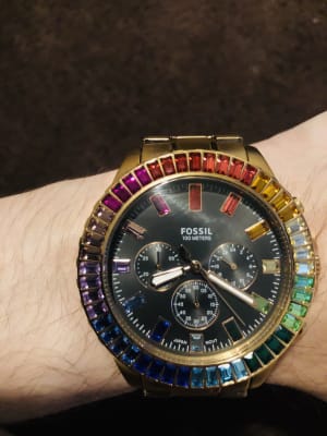 Fossil Watch Rainbow 2024 towncentervb
