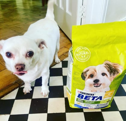 Beta small breed dog food hot sale