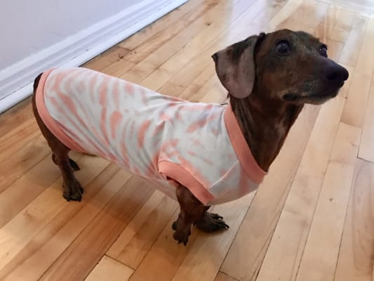 Old navy wiener dog shirt cheap