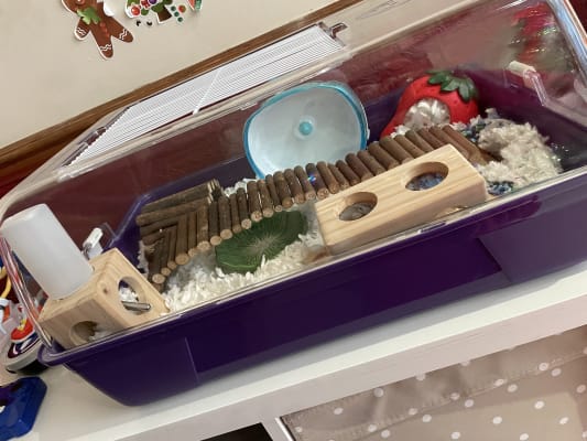 Pets at Home Mouse and Dwarf Hamster Cage Medium Pets At Home