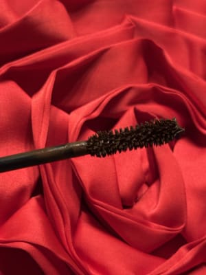 View Gallery Image #8