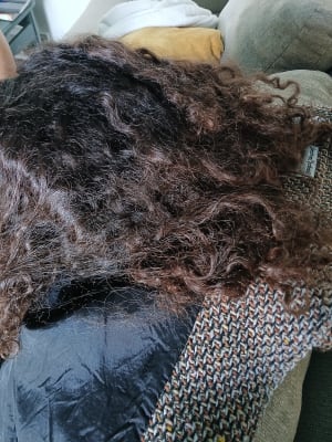 View Gallery Image #15