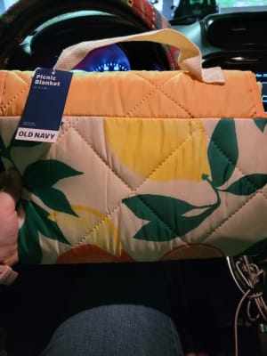 Old navy on sale picnic blanket
