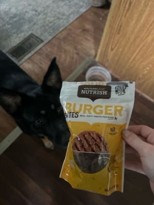 Rachael ray burger bites dog treats discount
