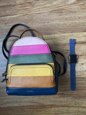 fossil felicity backpack mini