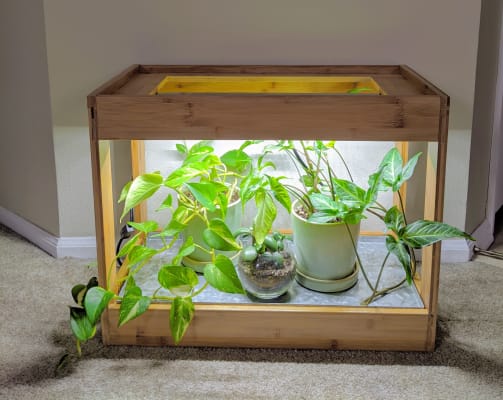 Bamboo mini led grow light garden outlet