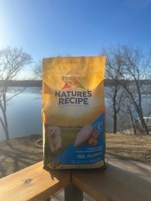 Nature's recipe puppy grain free online