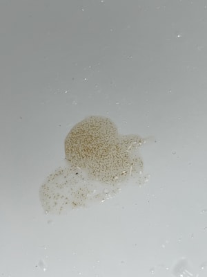 View Gallery Image #7