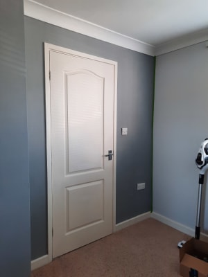 Dulux shop warm pewter