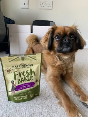 Harringtons Fresh Bakes Grain Free Dog Training Treats 100g Pets