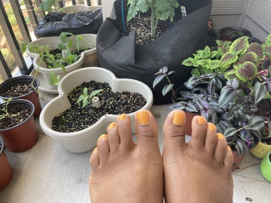 View Gallery Image #8