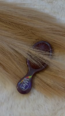 View Gallery Image #7